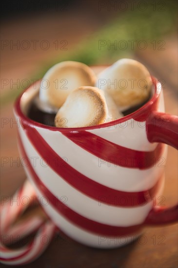 Hot chocolate with marshmallows. Photo : Jamie Grill
