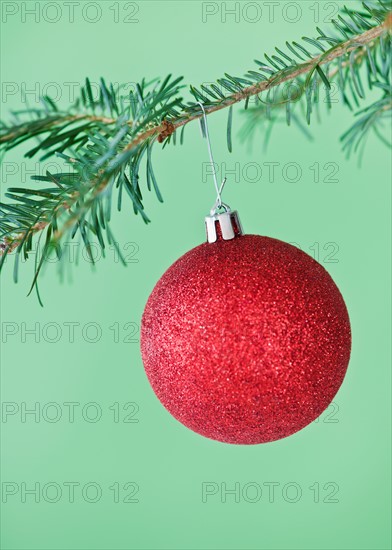 Studio shot of red Christmas ornament hanging on Christmas tree. Photo : Daniel Grill