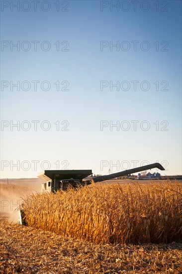 USA, Iowa, Latimer, Combine harvester harvesting corn. Photo : Sarah M. Golonka