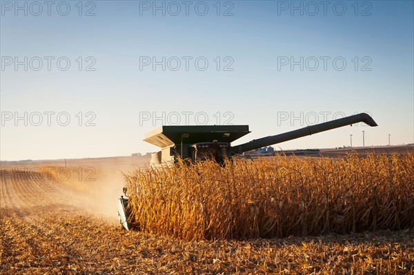 USA, Iowa, Latimer, Combine harvester harvesting corn. Photo : Sarah M. Golonka