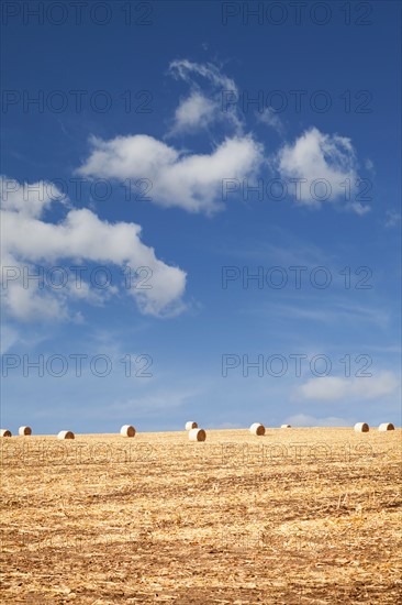 USA, Iowa, Latimer, Hay bales on field. Photo : Sarah M. Golonka