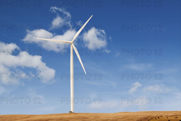 USA, Iowa, Latimer, Wind turbine. Photo : Sarah M. Golonka