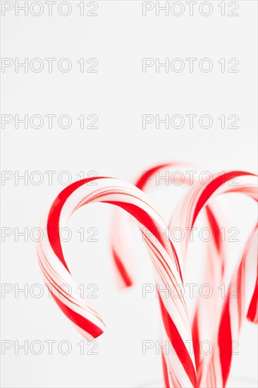 Red and white candy canes, studio shot. Photo : Sarah M. Golonka