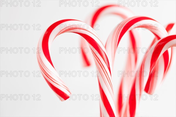Red and white candy canes, studio shot. Photo : Sarah M. Golonka