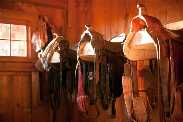 Saddles in barn. Photo : John Kelly