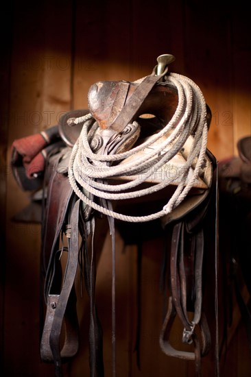 Close-up of saddle with rope. Photo : John Kelly