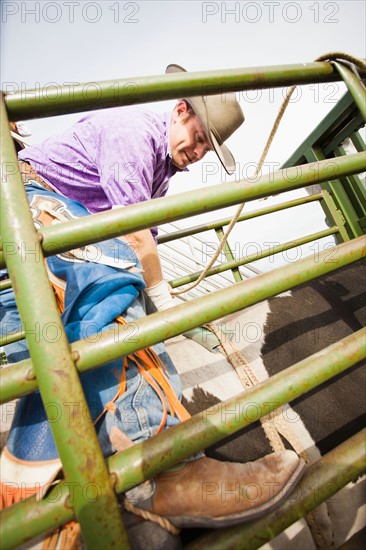 Young cowboy preparing for rodeo. Photo : Mike Kemp