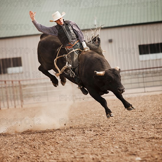 USA, Utah, Highland, Bull rider during rodeo. Photo : Mike Kemp