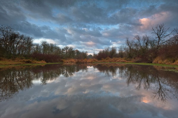 USA, Oregon, Marion County, Trees and clouds reflecting in lake. Photo : Gary Weathers