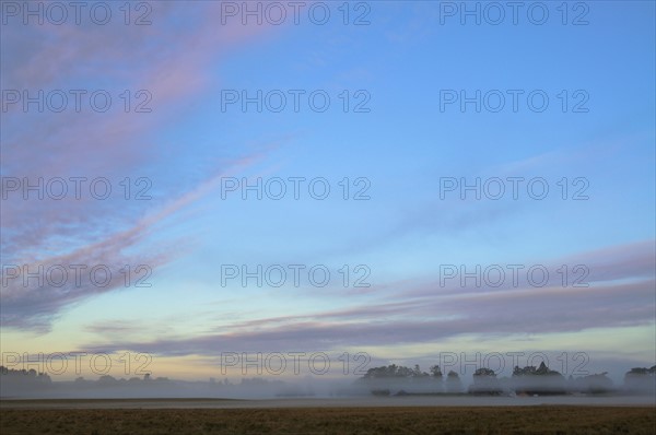 USA, Oregon, Marion County, Foggy morning. Photo : Gary Weathers