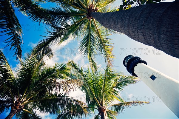 USA, Florida, Key Biscayne, Lighthouse with palm trees. Photo : Henryk Sadura