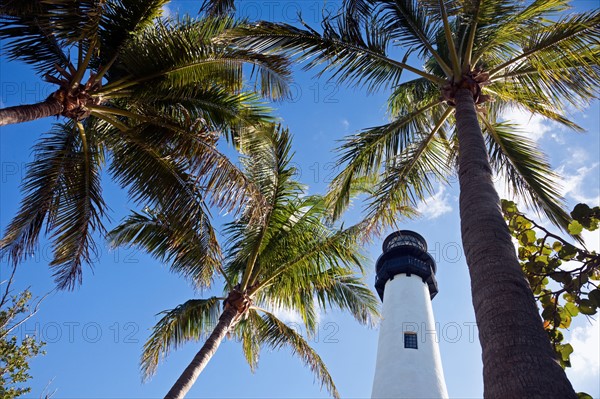 USA, Florida, Key Biscayne, Lighthouse with palm trees. Photo : Henryk Sadura