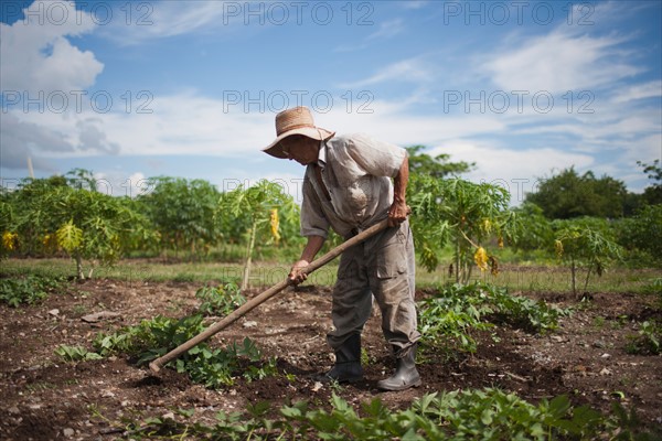 Cuba, Las Tunas, Farmer digging in field. Photo : Mark de Leeuw