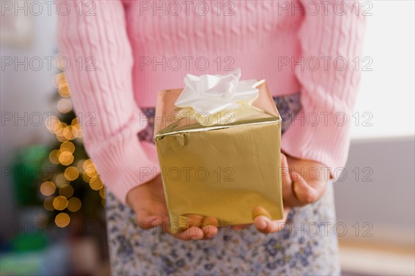 Close-up of girl holding Christmas present behind back, mid section. Photo : Rob Lewine
