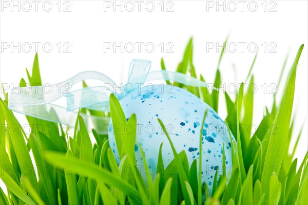 Blue Easter egg on grass, studio shot. Photo :  Elena Elisseeva