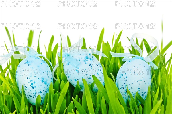 Blue Easter eggs on grass, studio shot. Photo :  Elena Elisseeva