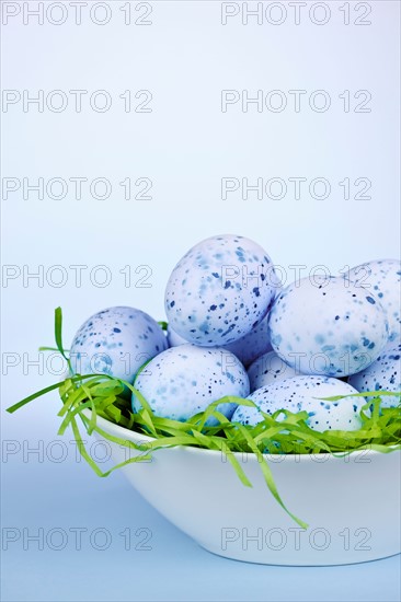 Blue Easter eggs in bowl, studio shot. Photo :  Elena Elisseeva