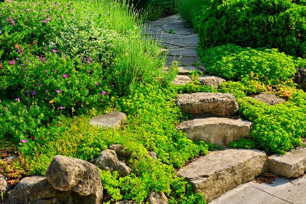 View of garden. Photo :  Elena Elisseeva