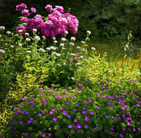 View of garden. Photo :  Elena Elisseeva