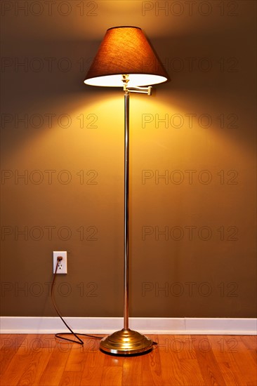 Floor lamp. Photo : Elena Elisseeva