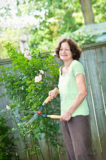 Toronto, Ontario, Woman pruning rose bush. Photo : Elena Elisseeva
