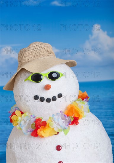 Snowman at sea.