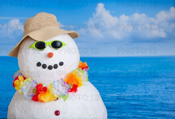 Snowman at sea.