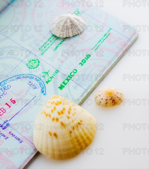 Studio shot of passport with seashells.