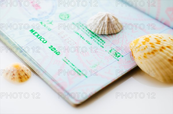 Studio shot of passport with seashells.