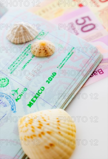 Studio shot of passport with seashells.