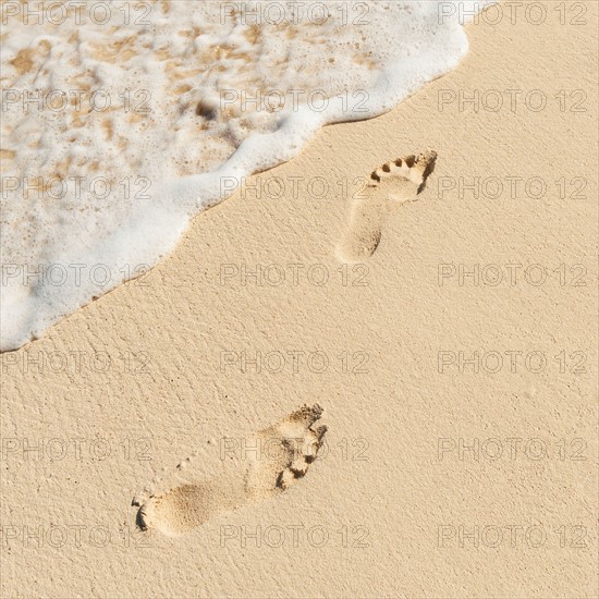 Mexico, Yucatan. Footprints on beach.