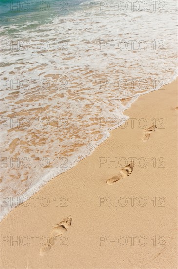 Mexico, Yucatan. Footprints on beach.