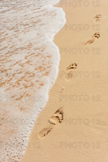 Mexico, Yucatan. Footprints on beach.