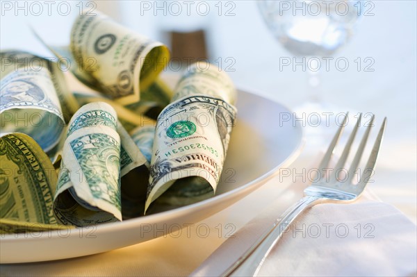 Paper currency on dinner plate, studio shot.