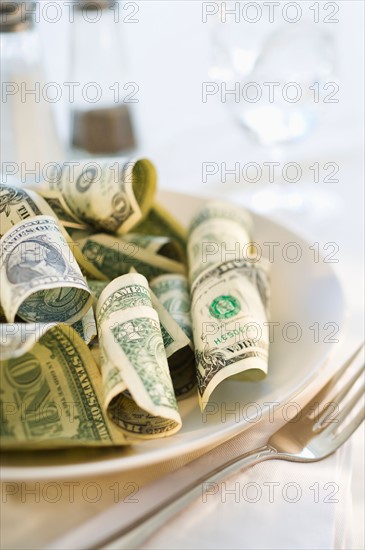 Paper currency on dinner plate, studio shot.