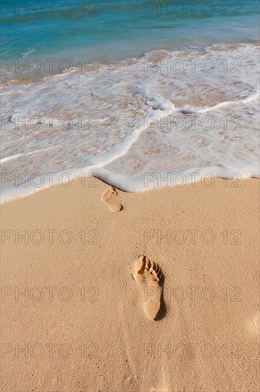 Mexico, Yucatan. Footprints on beach.