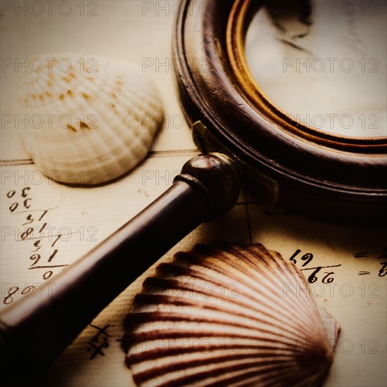 Studio shot of still life with magnifying glass and seashells.