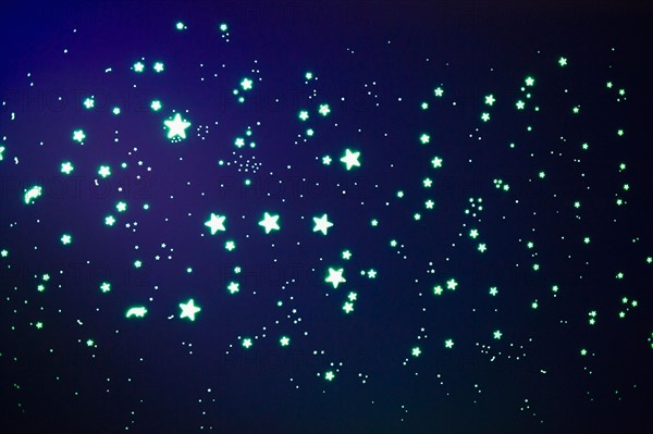 Fluorescent stars on blue background, studio shot. Photo : Jamie Grill