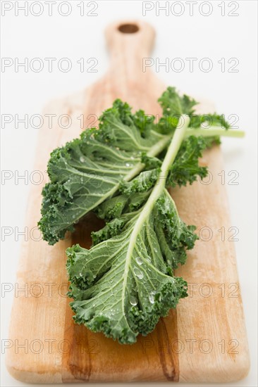 Close up of green leaf on cutting board, studio shot. Photo : Jamie Grill