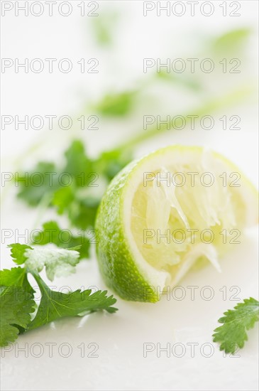 Close up of green leaf and lime slice, studio shot. Photo : Jamie Grill