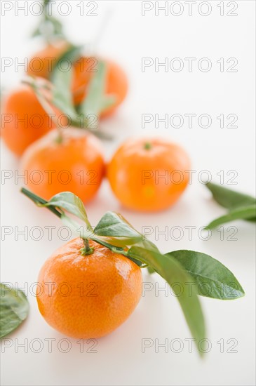 Close up of tangerines with leaves, studio shot. Photo : Jamie Grill