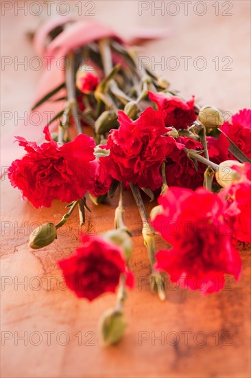 Close up of Valentine's Day flowers, studio shot. Photo : Daniel Grill