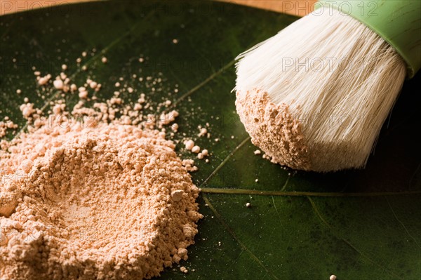 Close-up of face powder. Photo : Kristin Lee