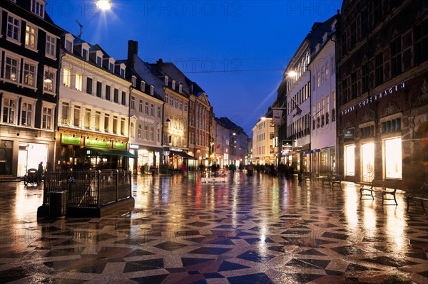 Denmark, Copenhagen. Street scene at dusk. Photo : Henryk Sadura