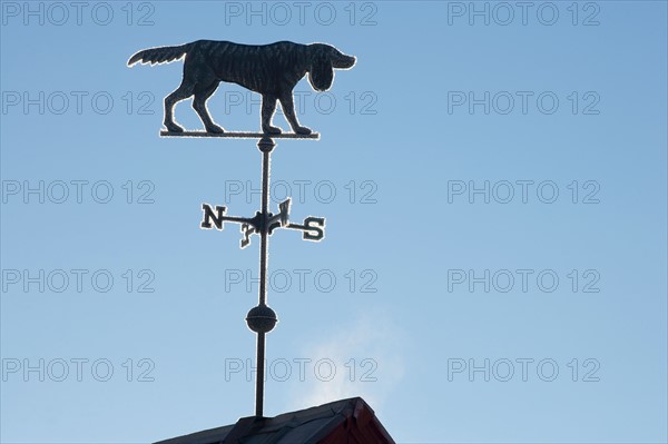 Old weather vane against blue sky. Photo : Noah Clayton