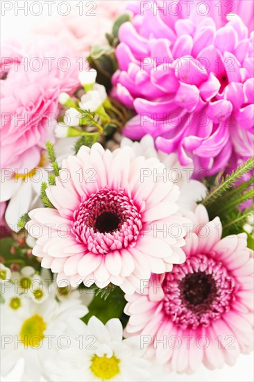 Studio shot of bouquet, close-up. Photo : Elena Elisseeva