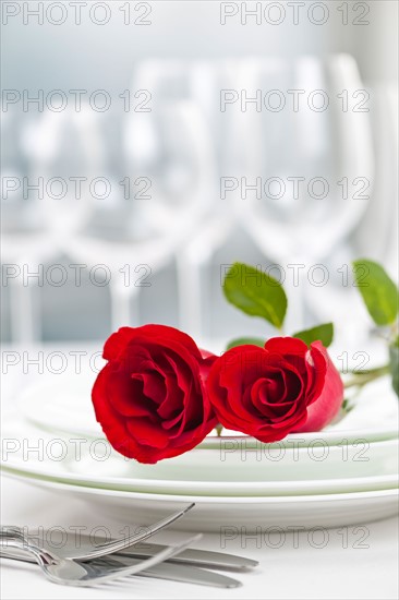 Dishes and cutlery prepared for meal decorated with red roses. Photo : Elena Elisseeva