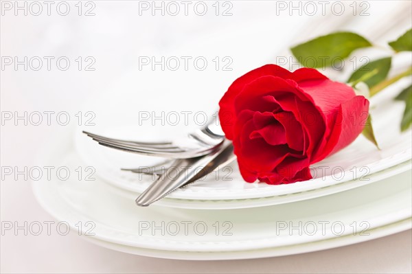 Dishes and cutlery prepared for meal decorated with red roses. Photo : Elena Elisseeva