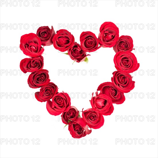 Close-up studio shot heart formed of red roses on white background. Photo : Elena Elisseeva