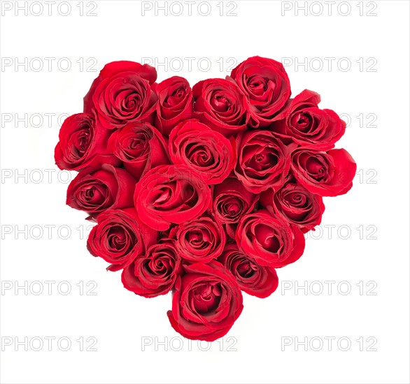 Close-up studio shot heart formed of red roses on white background. Photo : Elena Elisseeva